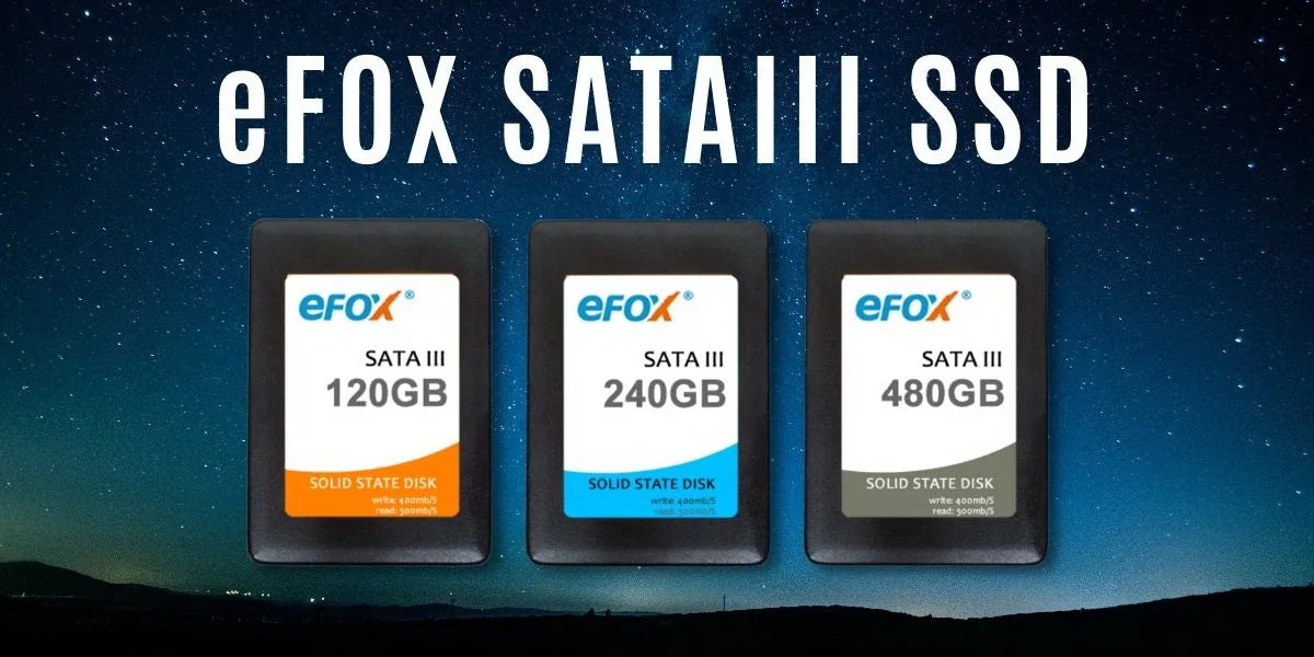 EFOX 2.5 Inch SATA3 Internal SSD
